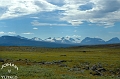 Kungsleden Kebnekaise-vakkotavare (45)